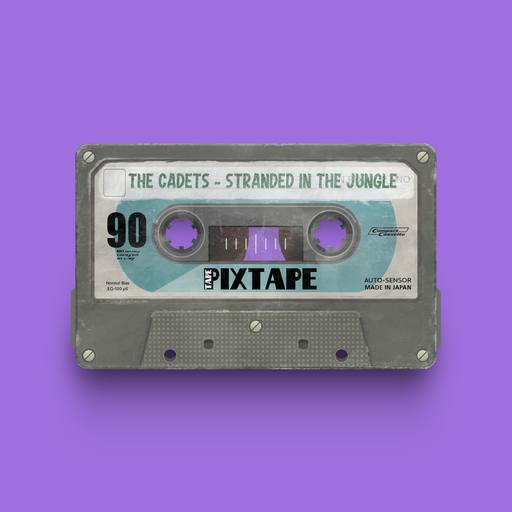 02878 - The Cadets - Stranded in the Jungle